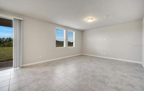 491 Whistling Duck Trail, St Cloud FL - photo 6 of 22