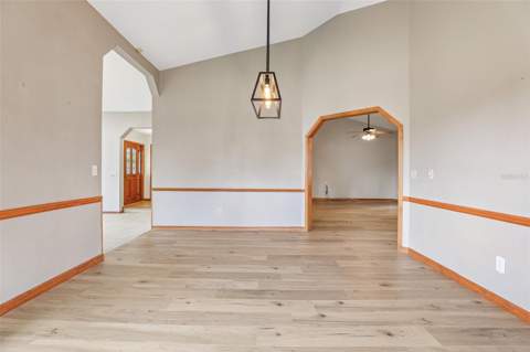 7273 Chesterhill Cir, Mount Dora FL - photo 8 of 47