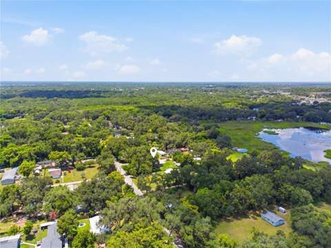 39217 Fibelkorn Road, Zephyrhills FL - photo 8 of 28