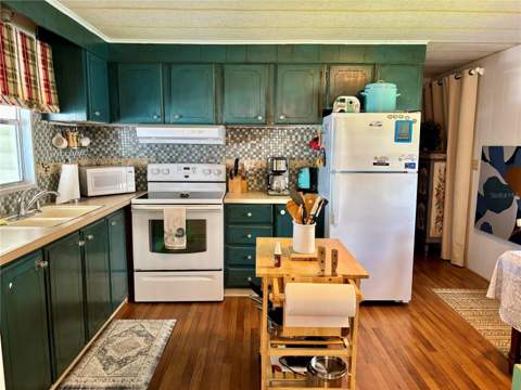 310 Mount Piney Avenue #266, St Petersburg FL - photo 7 of 17