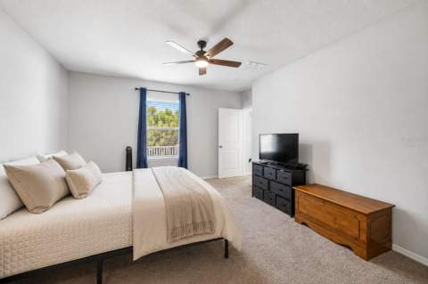 3703 Globe Thistle Drive, Tampa FL - photo 12 of 37