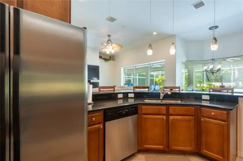 21023 Los Cabos Court, Land O Lakes FL - photo 14 of 44