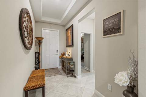 8888 Shadyside Lane, Land O Lakes FL - photo 6 of 6