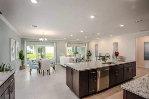 17219 NW 173rd Drive, Alachua FL - photo 17 of 25
