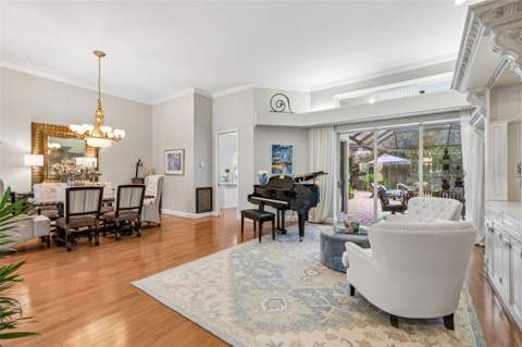 17705 Grey Eagle Road, Tampa FL - photo 7 of 78