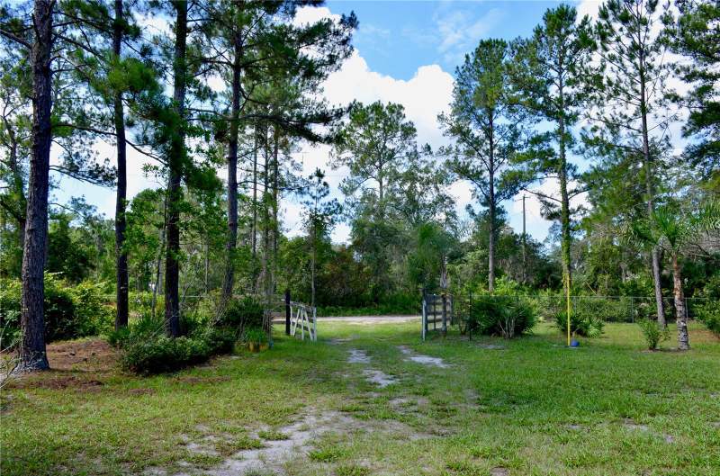 3 bedroom Manufactured Home at 33135 Forest Ridge Road, Forest Rdg #48-51, Deland — photo 2