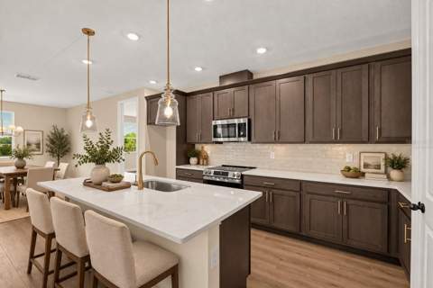 30134 Emerald Forest Drive, Mount Dora FL - photo 14 of 38