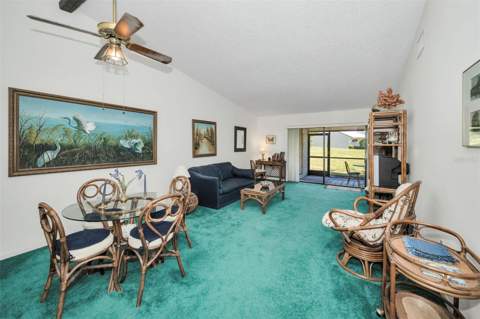 1333 Shady Pine Way #F, Tarpon Springs FL - photo 12 of 43