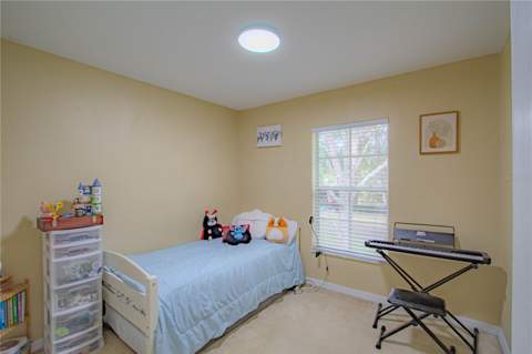 10917 Brickside Court, Riverview FL - photo 9 of 12