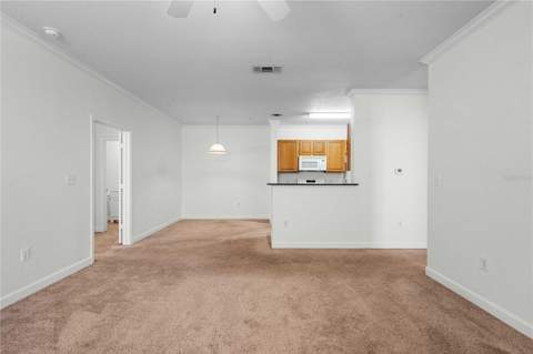 18525 Bridle Club Drive #18525, Tampa FL - photo 6 of 38