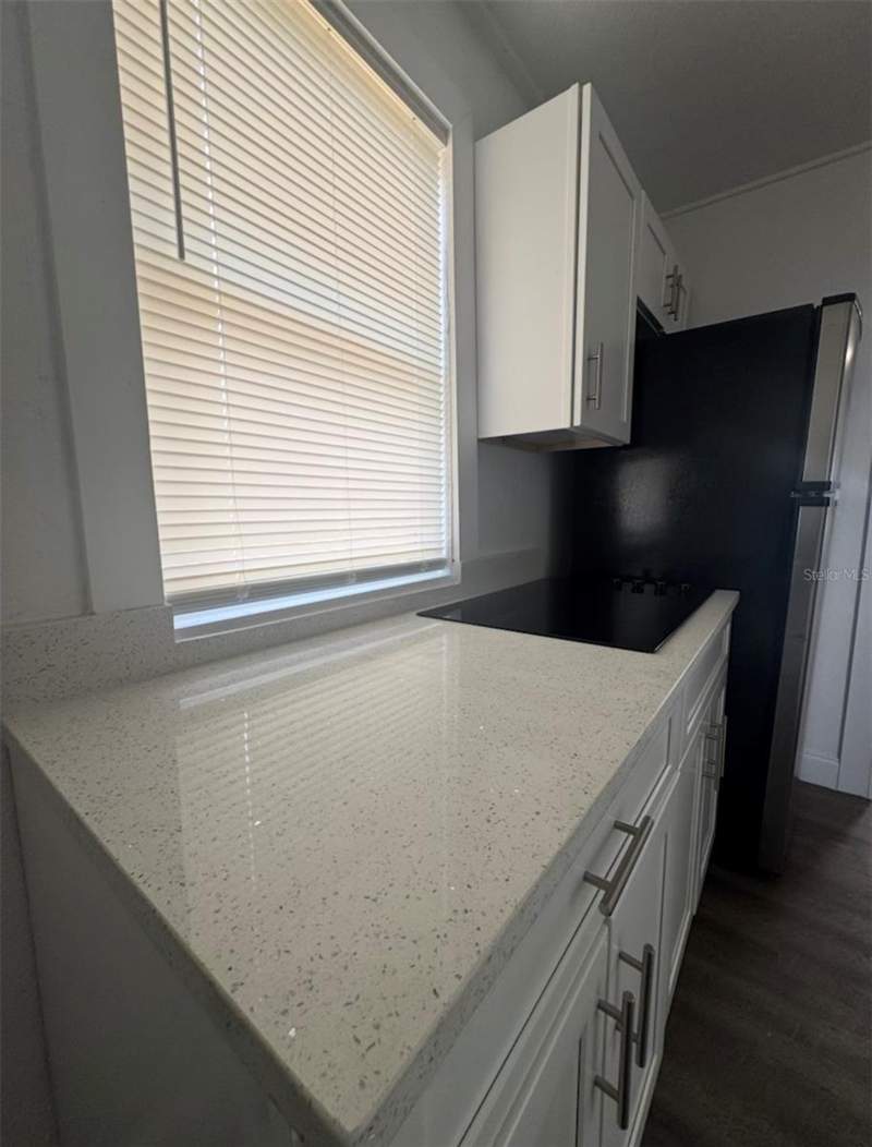 2 bedroom Single Family Residence at 715 JERNIGAN AVENUE, WESTERN TERRACE ADD, ORLANDO — photo 5