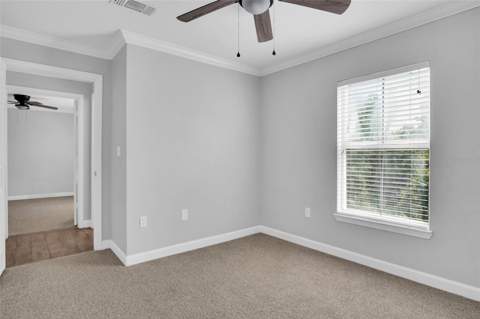 18245 Bridle Club Drive, Tampa FL - photo 22 of 33