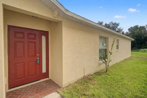 7838 Carriage Pointe Drive, Gibsonton FL - photo 8 of 72