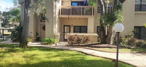 304 Los Prados #304, Safety Harbor FL - photo 6 of 6