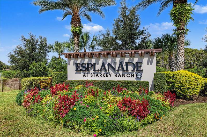 3 bedroom Single Family Residence at 11435 Callisia Drive, Esplanade/Starkey Ranch Ph 1, Odessa — photo 2