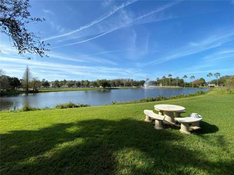 10503 Palm Cove Avenue, Tampa FL - photo 20 of 94