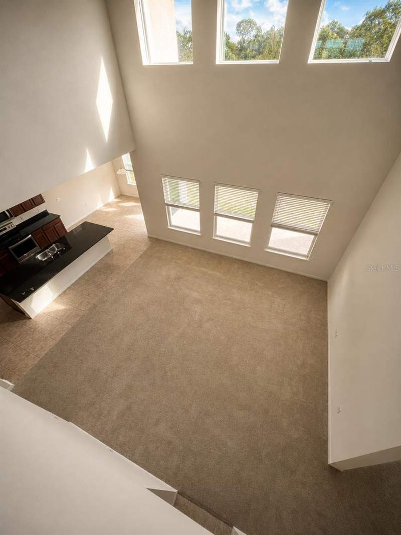 5 bedroom Single Family Residence at 10103 Austrina Oak Loop, Watermark Ph 4, Winter Garden — photo 4