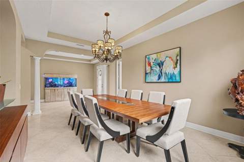 17815 Daisy Farm Drive, Lutz FL - photo 15 of 52