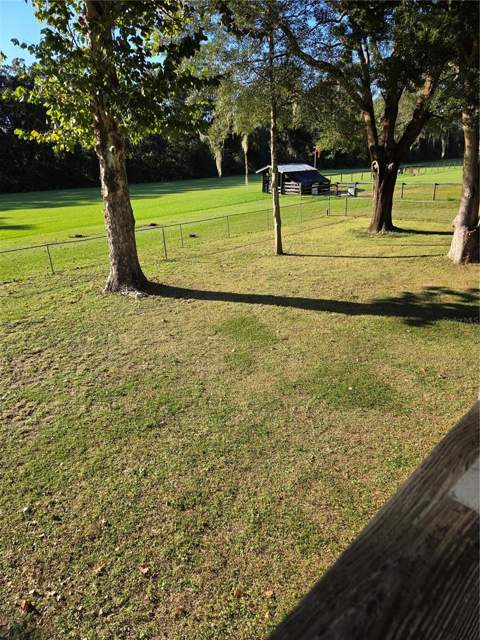 950 W Highway 316, Citra FL - photo 16 of 24