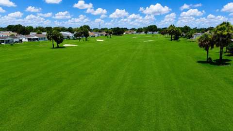 9900 SE 175th Place, Summerfield FL - photo 6 of 6