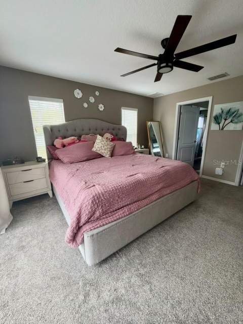 8210 Mackinaw Road, Weeki Wachee FL - photo 16 of 63