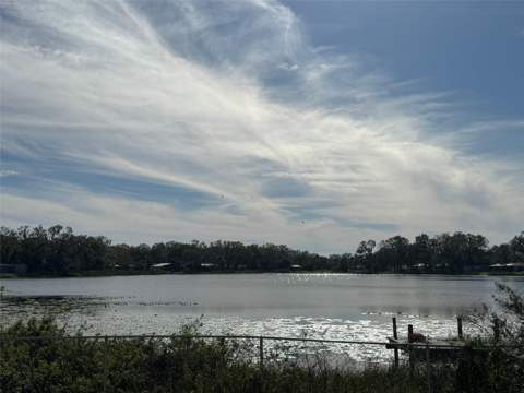 3922 Lake Joyce Drive, Land O Lakes FL - photo 9 of 63