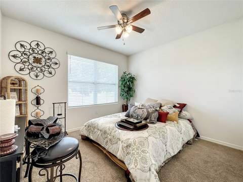 10547 Burlwood Drive, Leesburg FL - photo 24 of 48
