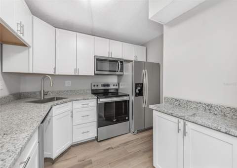 3166 Lake Pine Way #H1, Tarpon Springs FL - photo 9 of 53