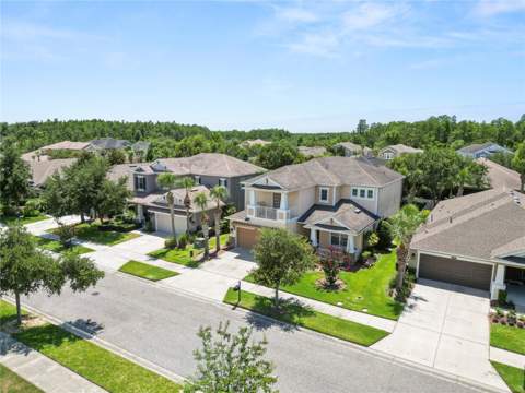 8775 Sentiero Drive, Land O Lakes FL - photo 9 of 76
