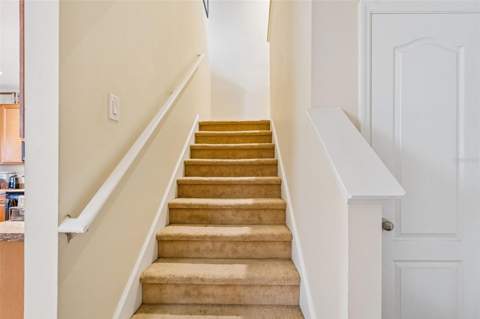 5017 White Sanderling Court, Tampa FL - photo 22 of 76