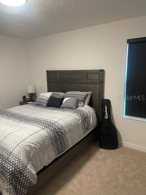 5014 Royal Point Avenue, Kissimmee FL - photo 10 of 13
