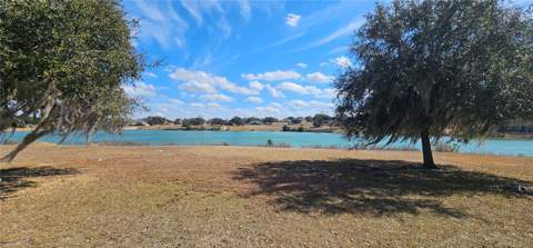 23705 Milford Drive, Eustis FL - photo 19 of 19