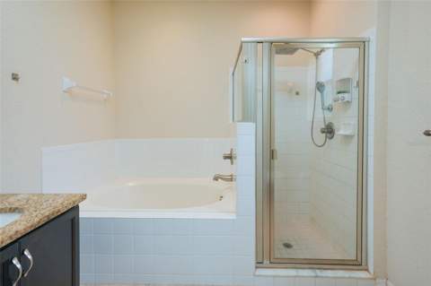 6019 Evansbrook Drive, Zephyrhills FL - photo 16 of 27