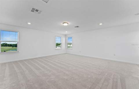 13630 Brookside Haven Street, Riverview FL - photo 17 of 35