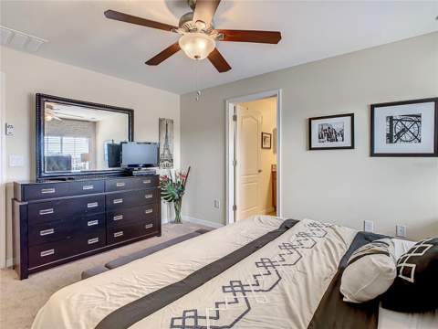 3039 Beach Palm Avenue, Kissimmee FL - photo 18 of 35