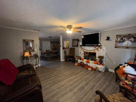 14209 Tennessee Avenue, Astatula FL - photo 14 of 42