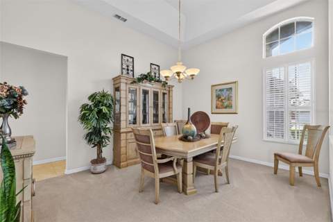 9085 Laurel Ridge Drive, Mount Dora FL - photo 9 of 55