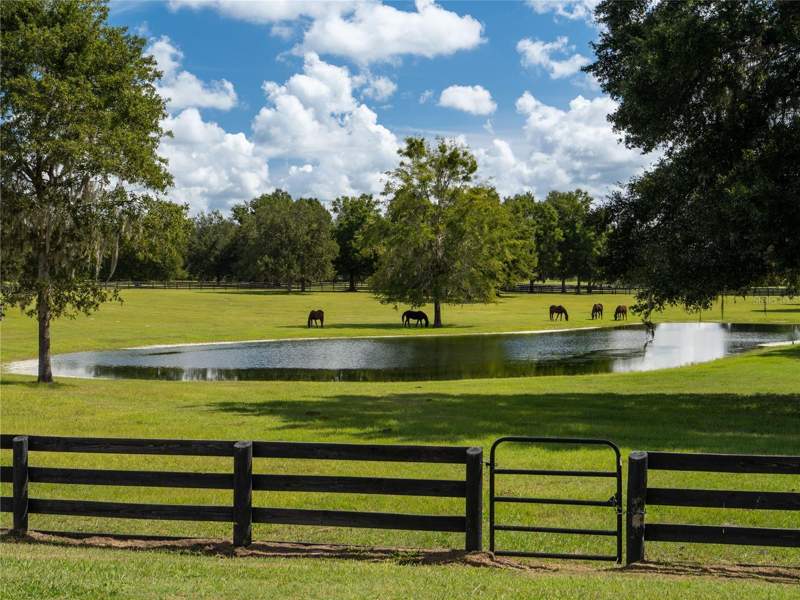 2 bedroom Farm at 2875 NW 150 Avenue, Ocala, Ocala — photo 5