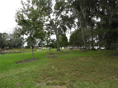 19820 Wellington Manor Boulevard, Lutz FL - photo 12 of 58