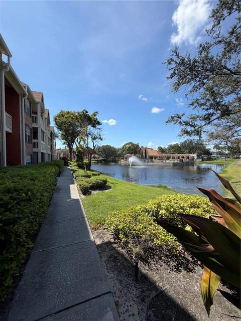 10200 Gandy Boulevard #1235, St Petersburg FL - photo 6 of 6