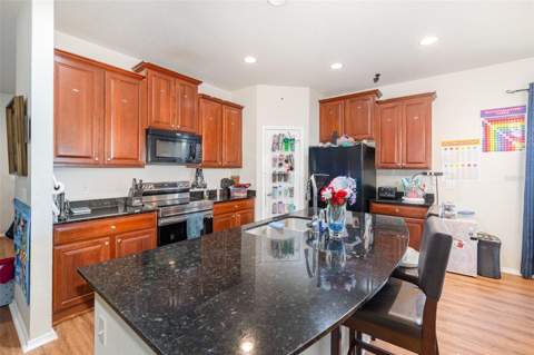 30308 Cheval Street, Mount Dora FL - photo 12 of 35