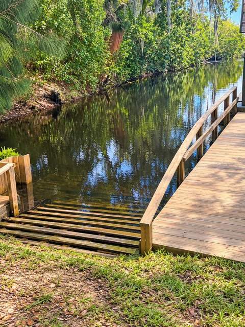 10017 Linda Street, Gibsonton FL - photo 10 of 15