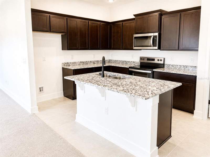 4 bedroom Single Family Residence at 247 Verny Grove Lane, Arbor Park, Leesburg — photo 4