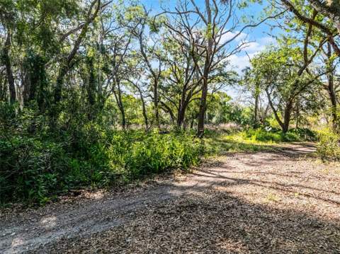 3633 Panther Path Road, Lutz FL - photo 6 of 6