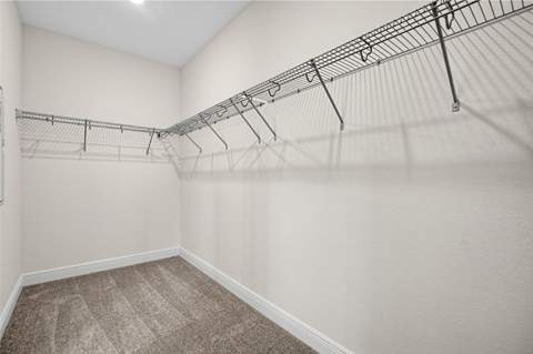 30130 Emerald Forest Drive, Mount Dora FL - photo 20 of 27