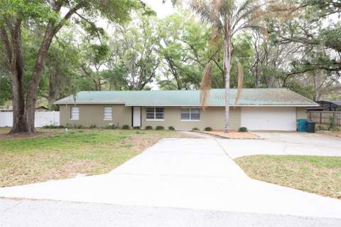 207 Mandarin Ln, Fruitland Park FL - photo 6 of 79