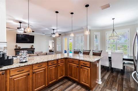 539 Treviso Drive, Apollo Beach FL - photo 9 of 30