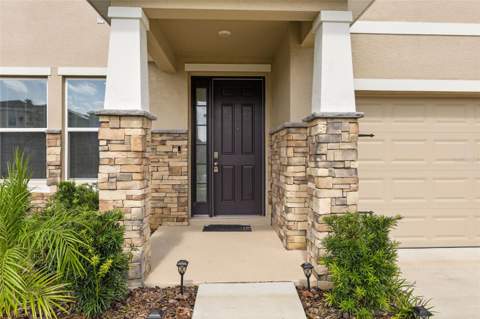 6764 Broad River Avenue, Land O Lakes FL - photo 6 of 6
