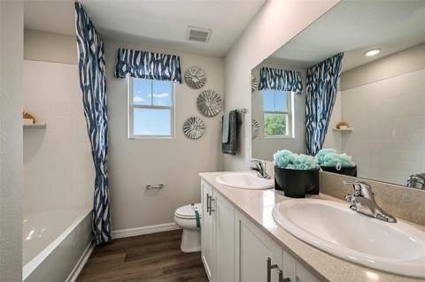 31731 Oyster Trellis Lane, Wesley Chapel FL - photo 19 of 24