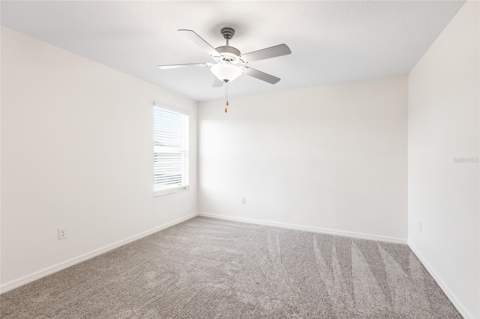 7310 Pearly Everlasting Avenue, Tampa FL - photo 18 of 63